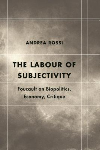 Книга Labour of Subjectivity Andrea Rossi