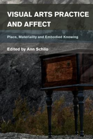 Book Visual Arts Practice and Affect Ann Schilo