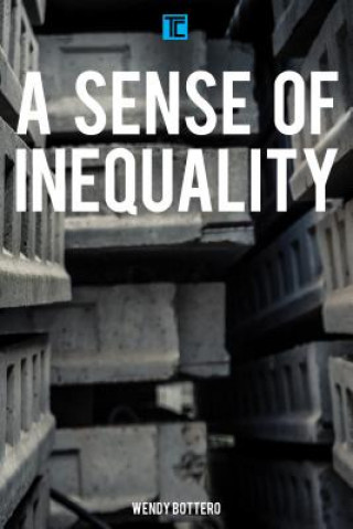 Книга Sense of Inequality Wendy Bottero