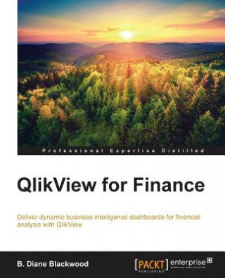 Könyv QlikView for Finance B. Diane Blackwood