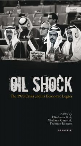 Kniha Oil Shock Elisabeth Bini