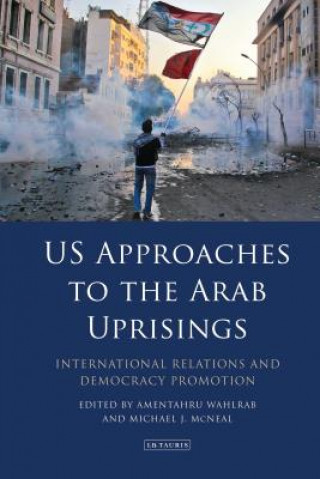 Книга US Approaches to the Arab Uprisings Amentahru Wahlrab