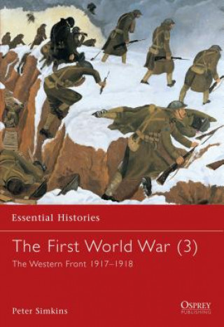 Book First World War Peter Simkins