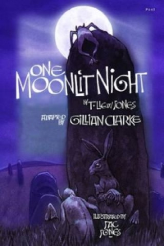 Buch One Moonlit Night (T. Llew Jones) T. Llew Jones