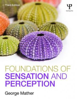 Book Foundations of Sensation and Perception George Mather