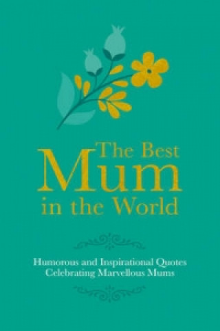 Könyv Best Mum in the World Adrian Besley