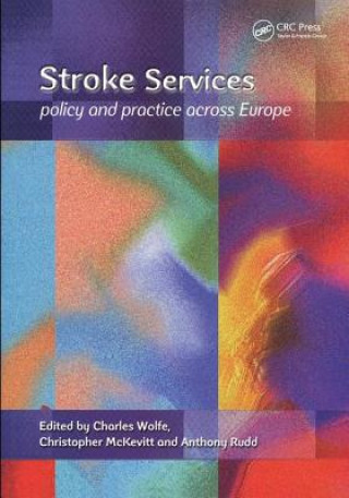 Kniha Stroke Services Charles Wolfe