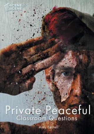 Kniha Private Peaceful Classroom Questions Amy Farrell