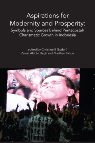 Książka Aspirations for Modernity and Prosperity Christine Gudorf