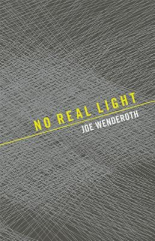 Kniha No Real Light Joe Wenderoth