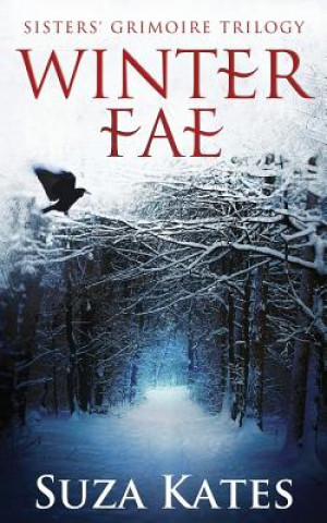 Kniha Winter Fae Suza Kates