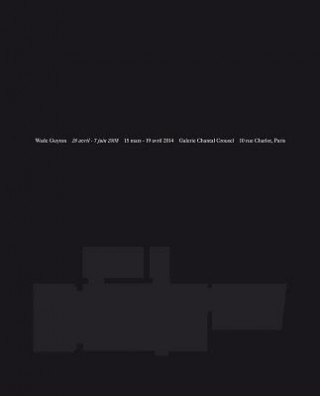 Книга Wade Guyton Catherine Chevalier