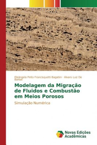 Kniha Modelagem da Migracao de Fluidos e Combustao em Meios Porosos Pinto Francisquetti Bagatini Elisangela