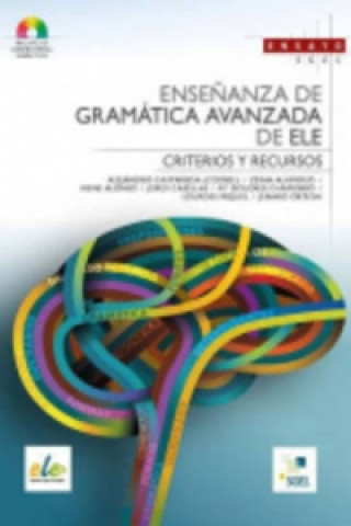Könyv Ensenanza de Gramatica Avanzada de ELE 