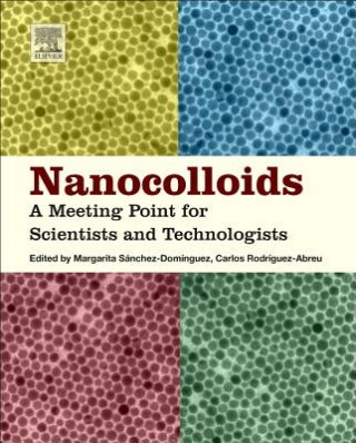 Kniha Nanocolloids Margarita Sanchez Dominguez