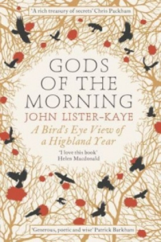 Kniha Gods of the Morning John Lister Kaye