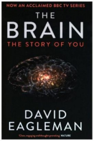 Book Brain David Eagleman