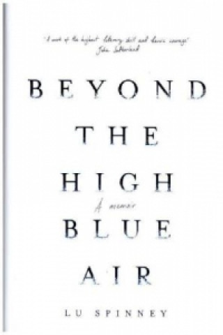 Könyv Beyond the High Blue Air Lu (Author) Spinney