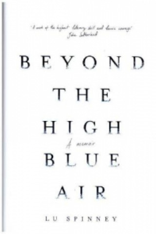 Książka Beyond the High Blue Air Lu (Author) Spinney