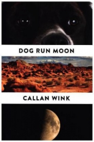 Book Dog Run Moon Callan Wink