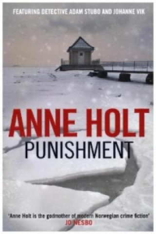 Książka Punishment Anne (Author) Holt