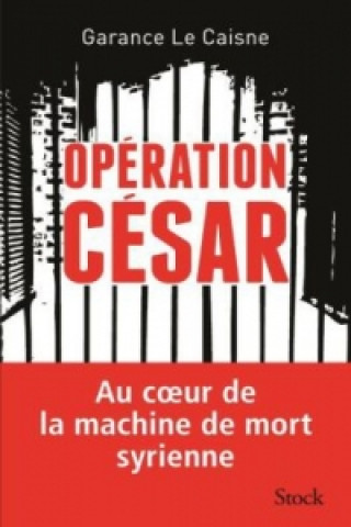 Carte Opération César Garance Le Caisne