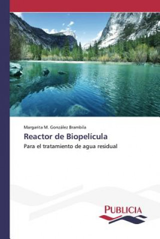 Kniha Reactor de Biopelicula Gonzalez Brambila Margarita M
