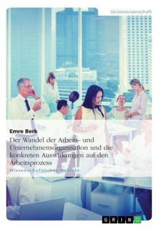 Könyv Wandel der Arbeits- und Unternehmensorganisation und die konkreten Auswirkungen auf den Arbeitsprozess Emre Berk