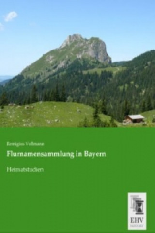 Książka Flurnamensammlung in Bayern Remigius Vollmann