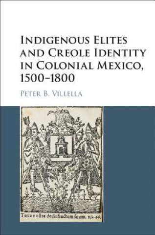 Kniha Indigenous Elites and Creole Identity in Colonial Mexico, 1500-1800 Peter B. Villella