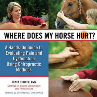 Knjiga Where Does My Horse Hurt? Renee Tucker