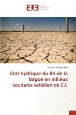 Carte Etat Hydrique Du Bv de la Bagoe En Milieux Soudano-Sahelien de C.I. Adja-G