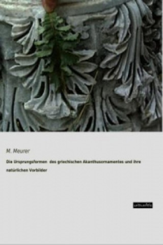 Book Die Ursprungsformen des griechischen Akanthusornamentes und ihre natürlichen Vorbilder M. Meurer