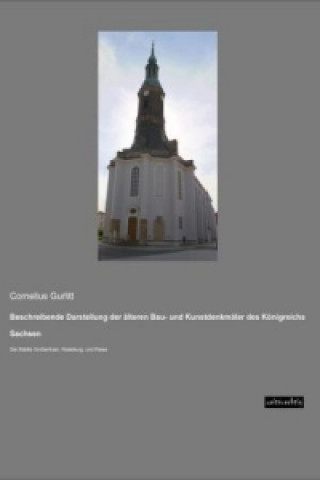 Książka Beschreibende Darstellung der älteren Bau- und Kunstdenkmäler des Königreichs Sachsen Cornelius Gurlitt