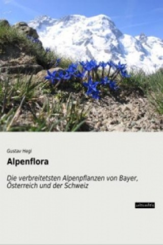 Könyv Alpenflora Gustav Hegi