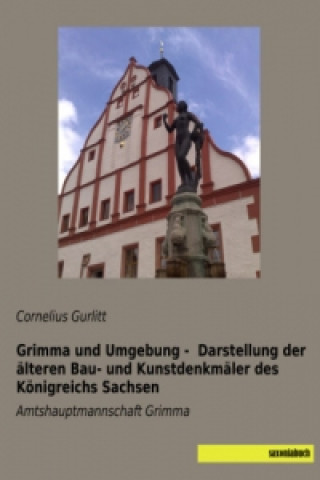 Carte Grimma und Umgebung - Darstellung der älteren Bau- und Kunstdenkmäler des Königreichs Sachsen Cornelius Gurlitt