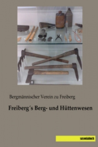 Kniha Freibergs Berg- und Hüttenwesen Bergmännischer Verein zu Freiberg