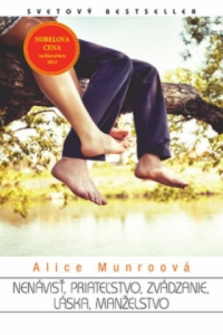 Kniha Nenávisť, priateľstvo, zvádzanie, láska, manželstvo Alice Munroová