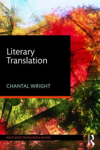 Kniha Literary Translation Chantal Wright