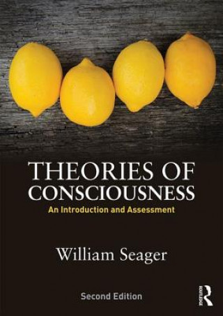 Könyv Theories of Consciousness William Seager