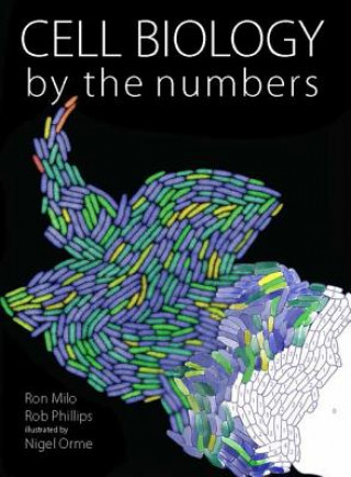 Kniha Cell Biology by the Numbers Ron Milo