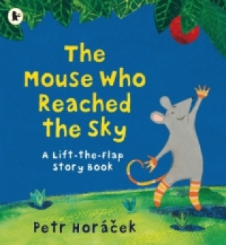 Książka Mouse Who Reached the Sky Petr Horacek