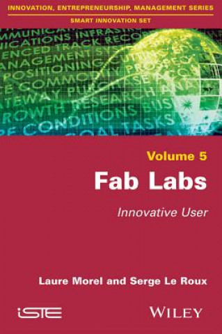 Carte Fab Labs - Innovative User Laure Morel