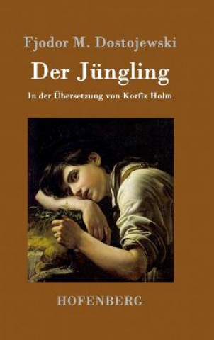 Livre Der Jungling Fjodor M Dostojewski