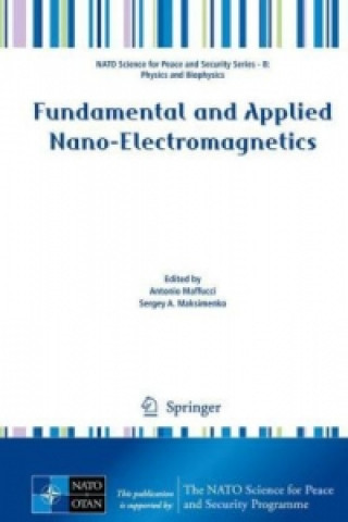 Buch Fundamental and Applied Nano-Electromagnetics Antonio Maffucci