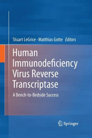 Könyv Human Immunodeficiency Virus Reverse Transcriptase Matthias Gotte