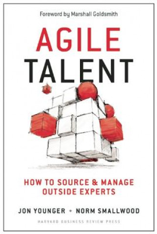 Könyv Agile Talent Jon Younger