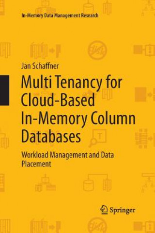 Könyv Multi Tenancy for Cloud-Based In-Memory Column Databases Jan Schaffner