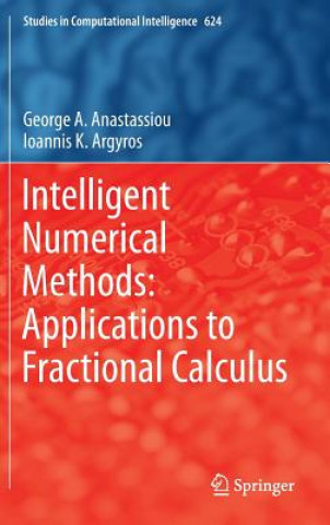 Książka Intelligent Numerical Methods: Applications to Fractional Calculus George A. Anastassiou