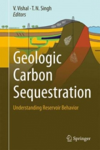 Carte Geologic Carbon Sequestration V. Vishal